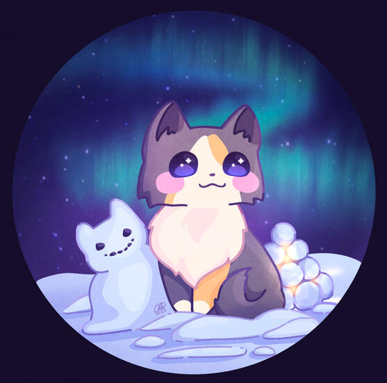 Winter cat: Echo.floof