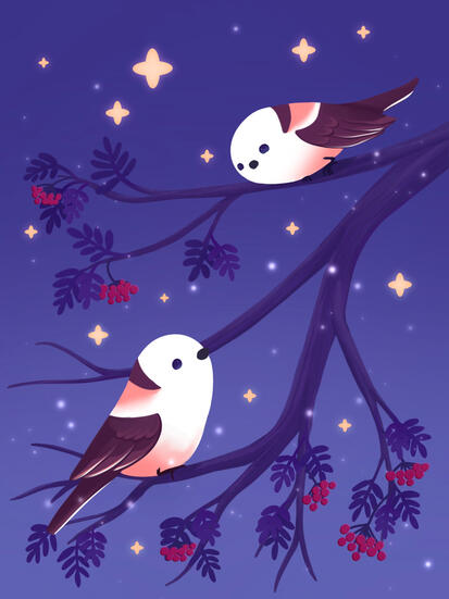 Birbs for christmas!
